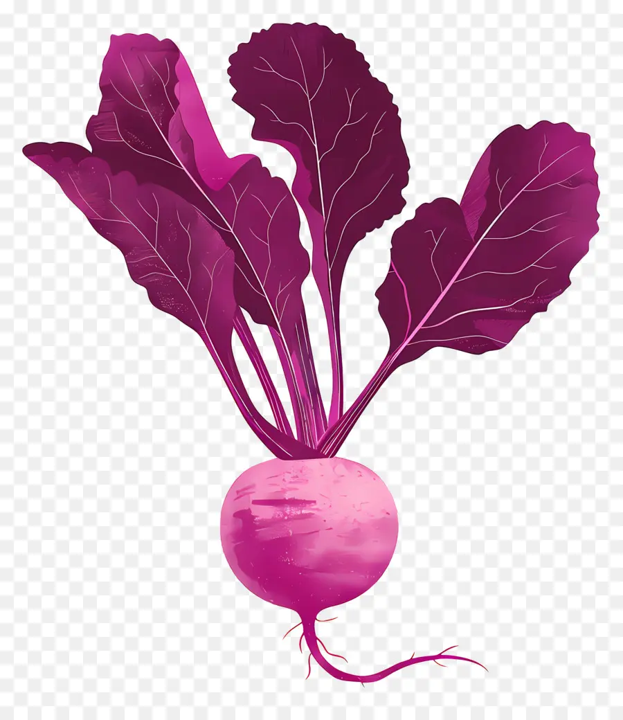 Brasil Imperial，Vegetal Vermelho PNG