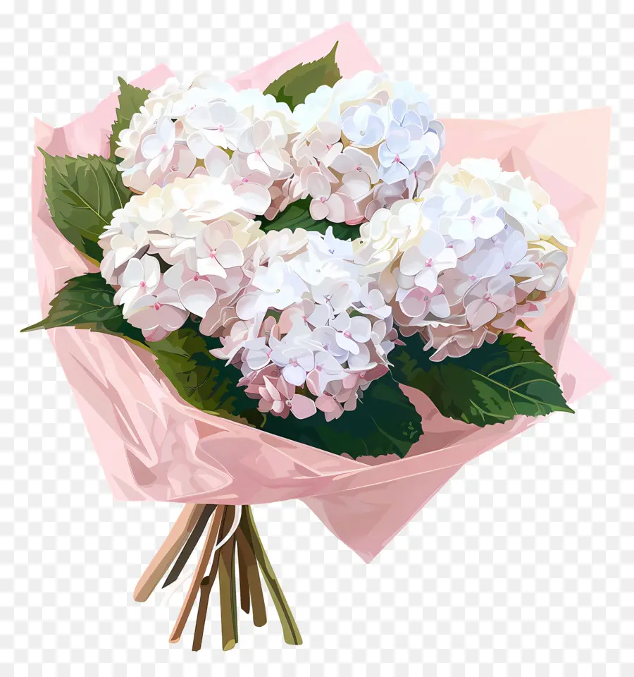 Hortênsia Branca，Rosas Cor De Rosa PNG