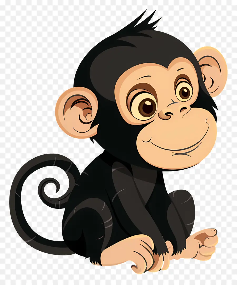 Macaco，Macaco Bonito PNG