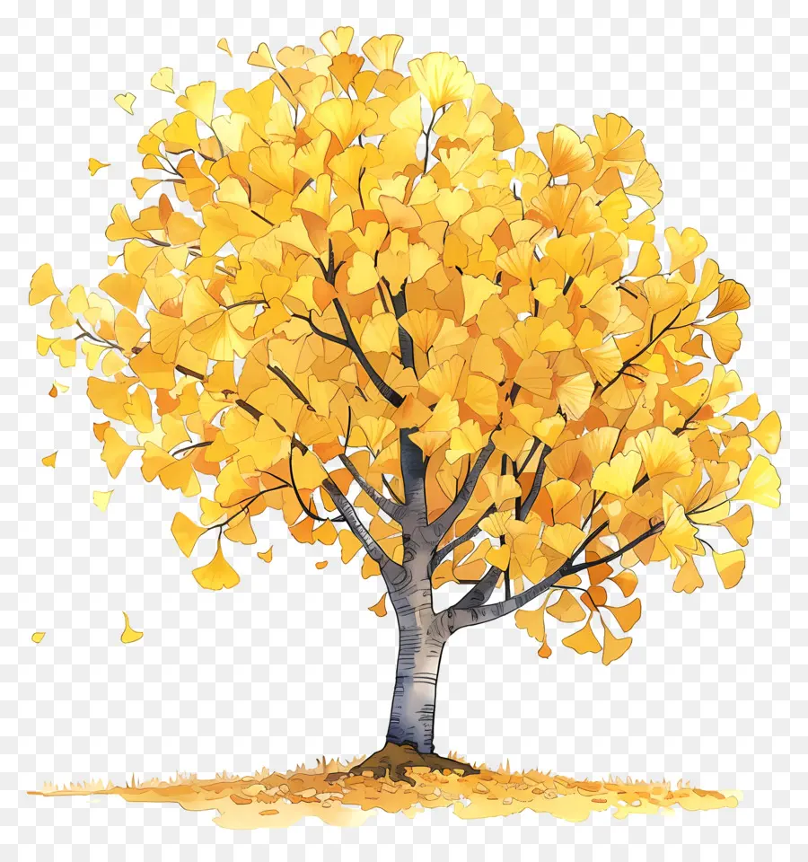 Árvore Do Ginkgo Do Outono，árvore PNG