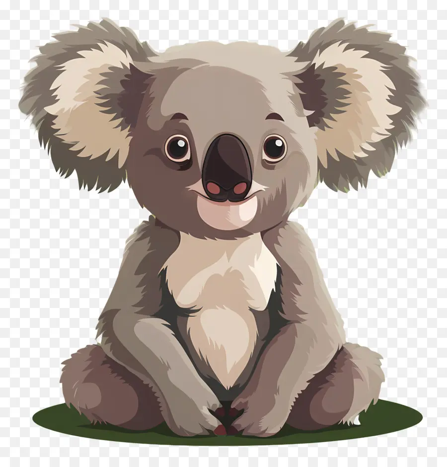 Koala，Canguru PNG