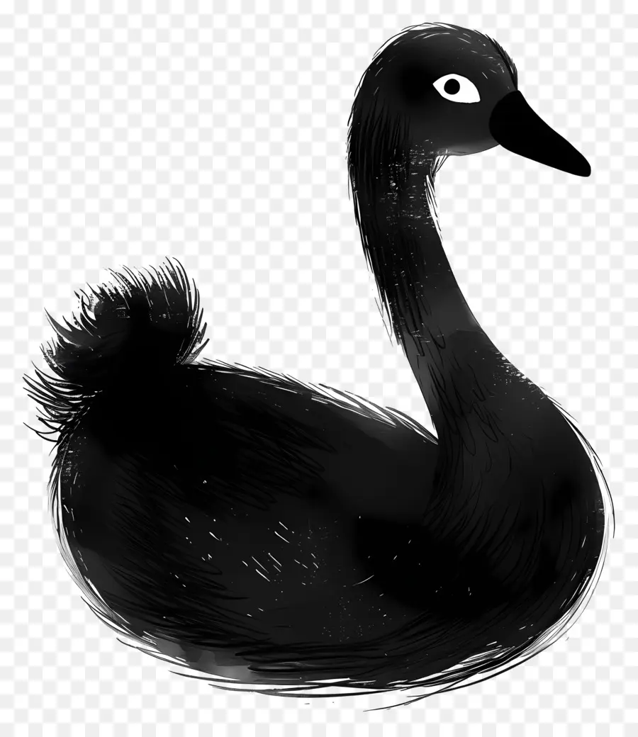 Cisne Preto，Pato PNG