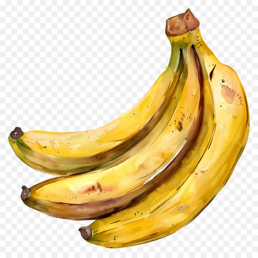 Bananas，Pintura Em Aquarela PNG