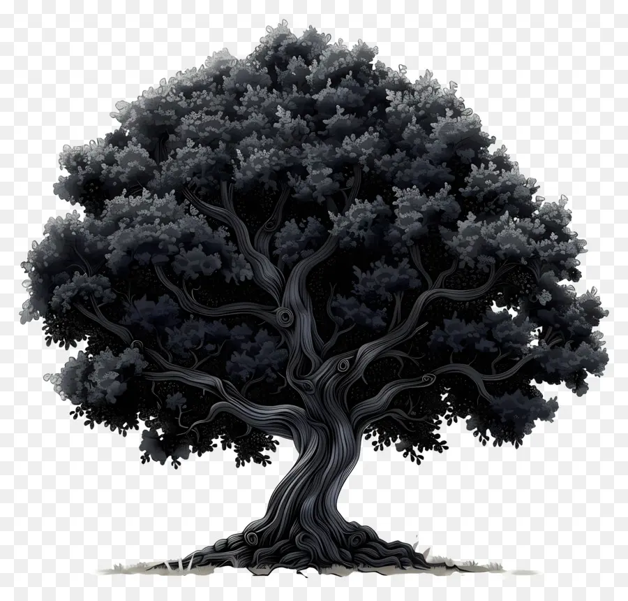 Árvore Da Floresta Negra，árvore PNG