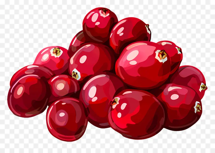 Amoras，Cranberries PNG