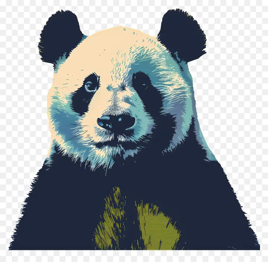 Panda，Urso PNG