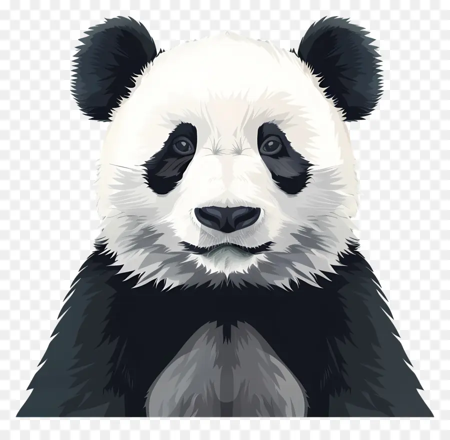Panda，Urso Panda PNG