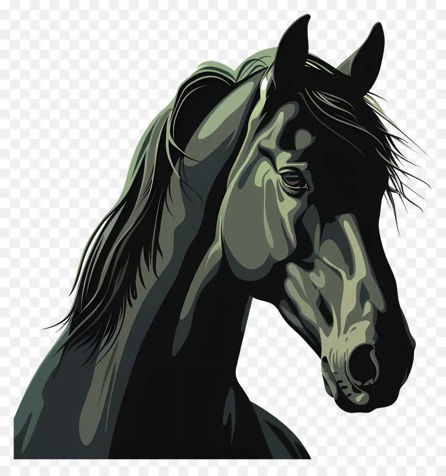 Cavalo，Desenho PNG