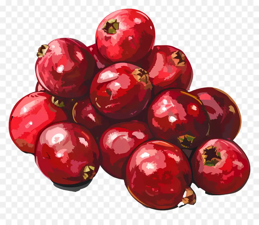 Cranberries，Bagas Vermelhas PNG