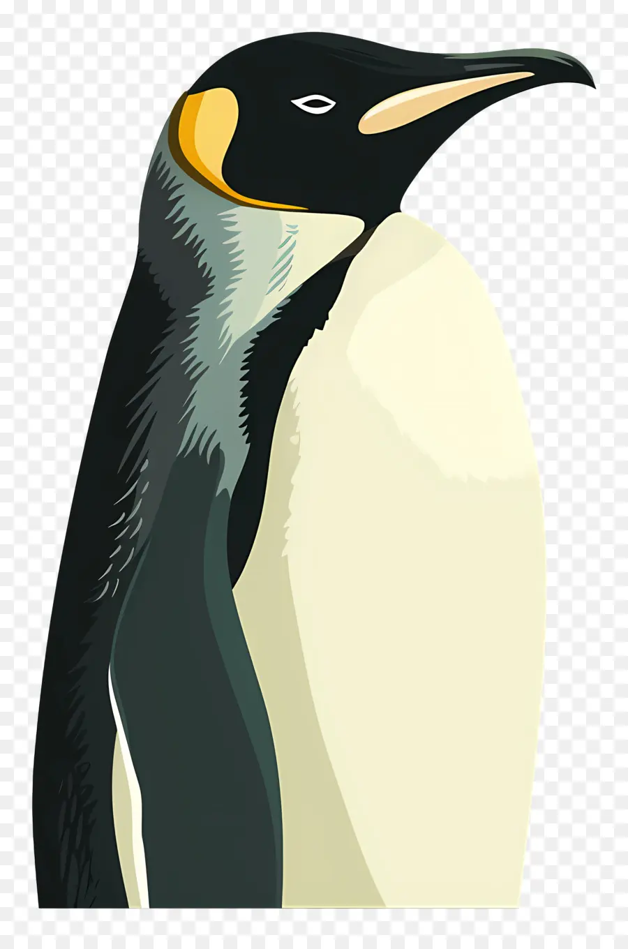 Pinguim，Bico PNG