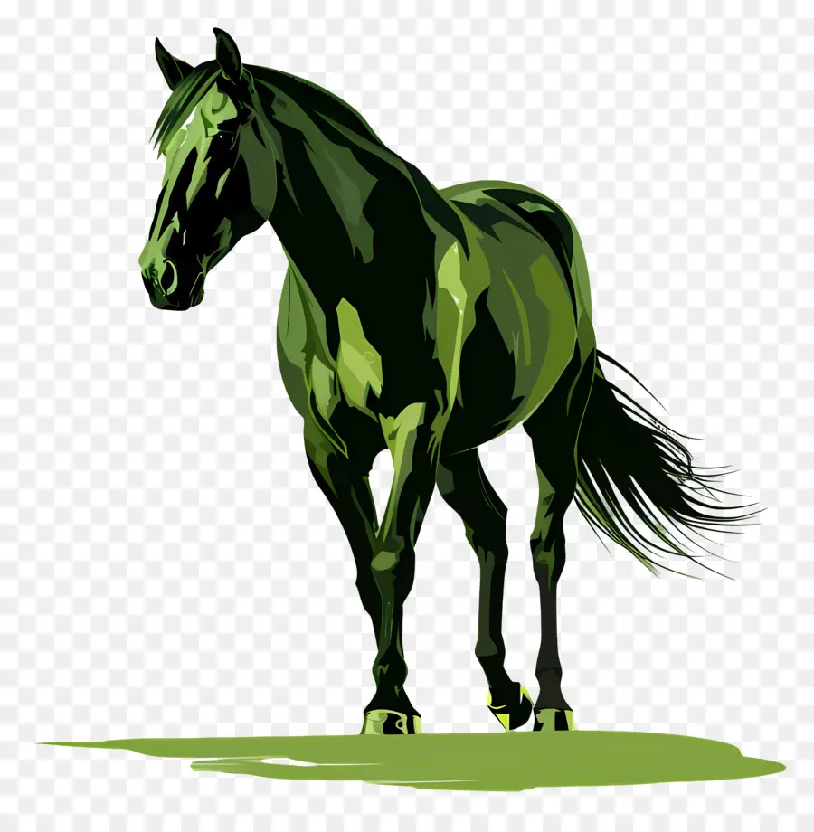 Cavalo，Cavalo Preto PNG