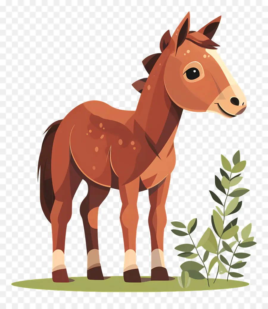 Cavalo，Cavalo De Desenho Animado PNG