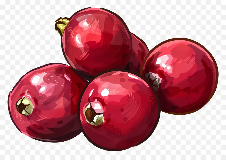 Cranberries，Ripe PNG