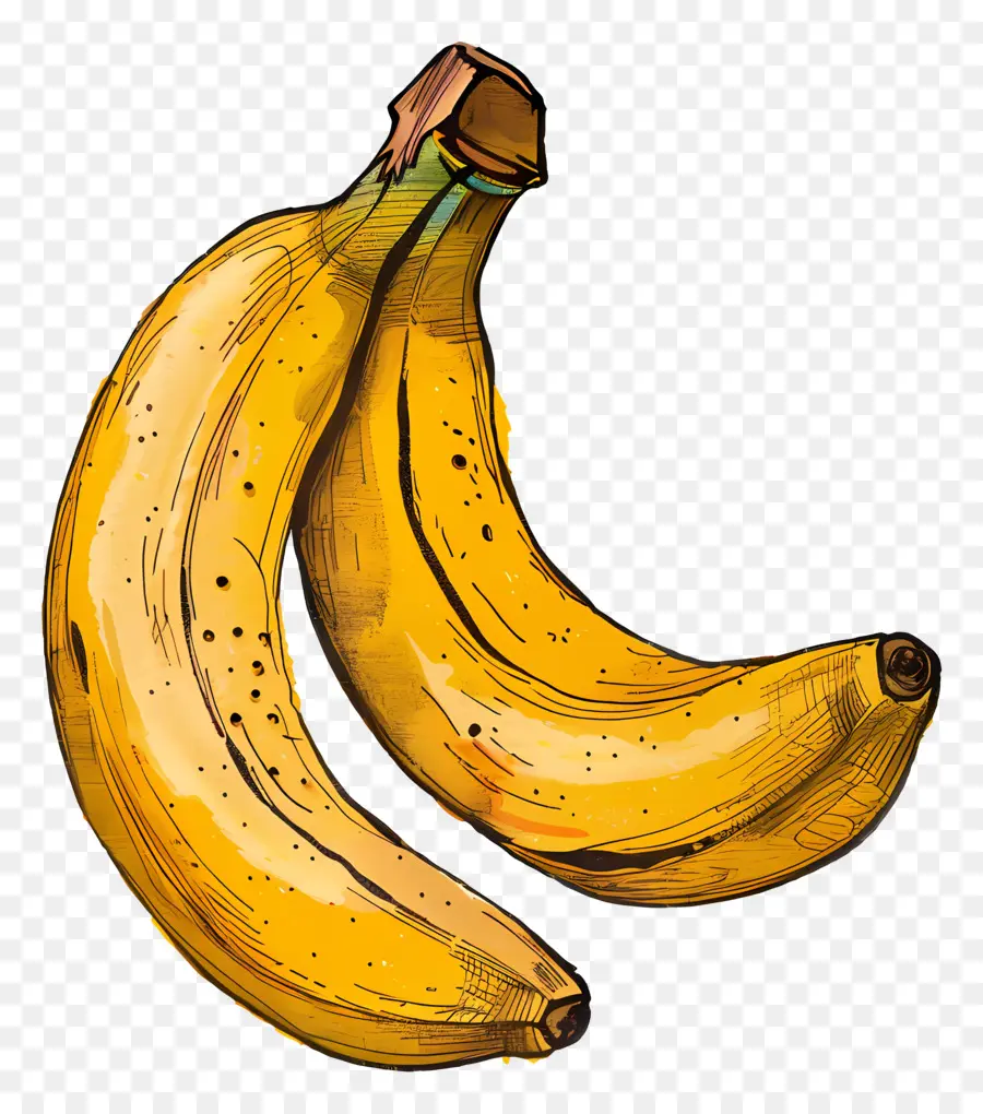 Banana，Bananas PNG