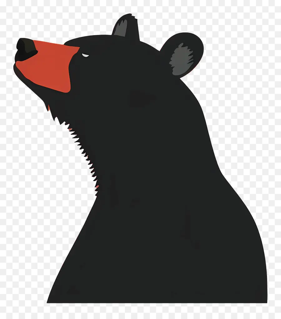 Urso，Urso Preto PNG