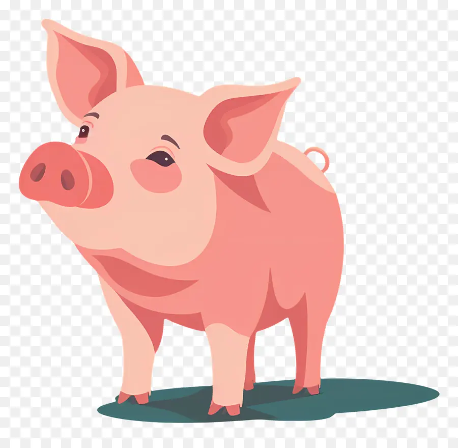 Porco，Porco Cor De Rosa PNG