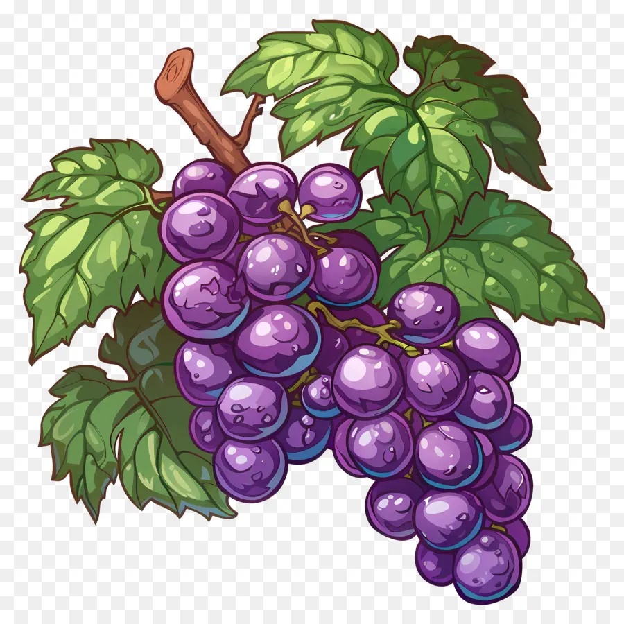 Uvas Animadas，Uvas PNG