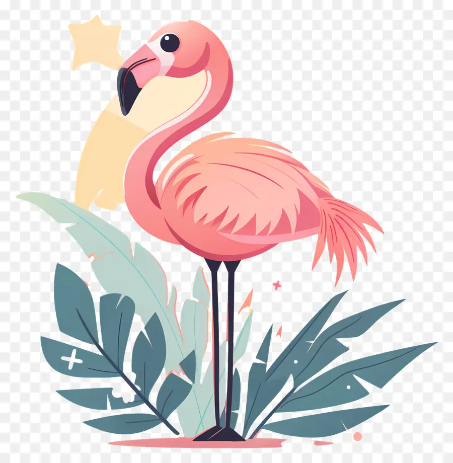 Flamingo，Rosa PNG