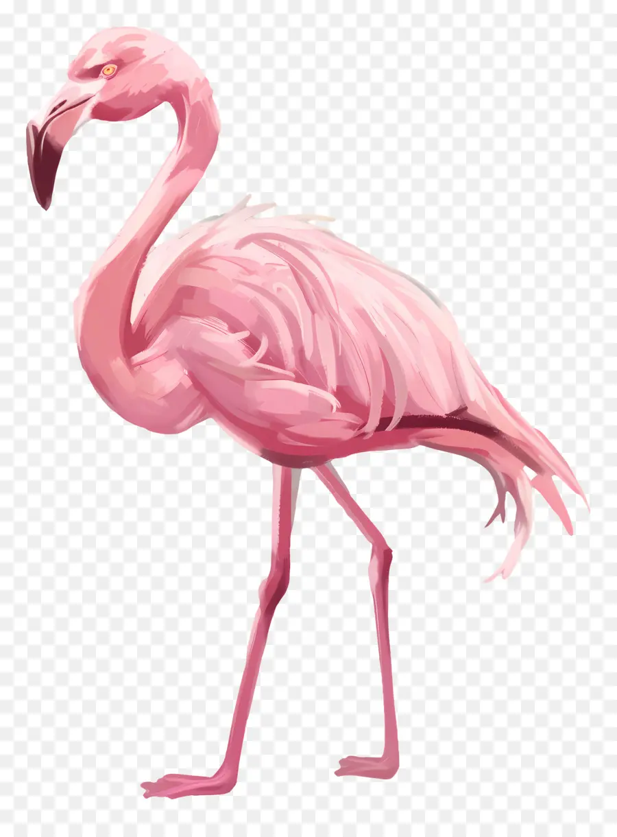 Flamingo，Flamingo Geométrico PNG