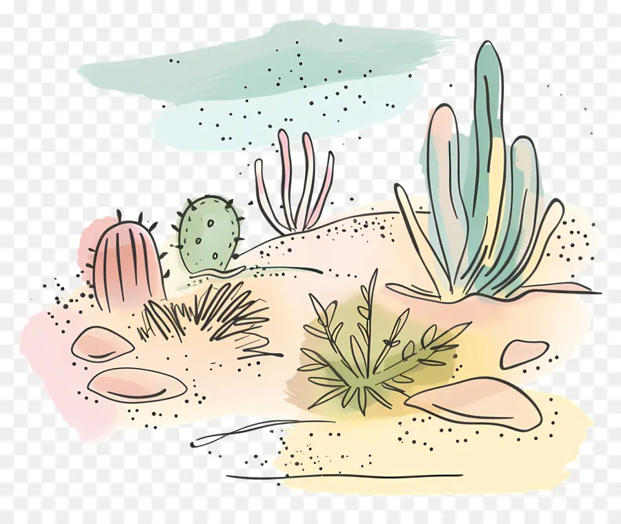 Desertificação De Combate，Plantas Cacti PNG