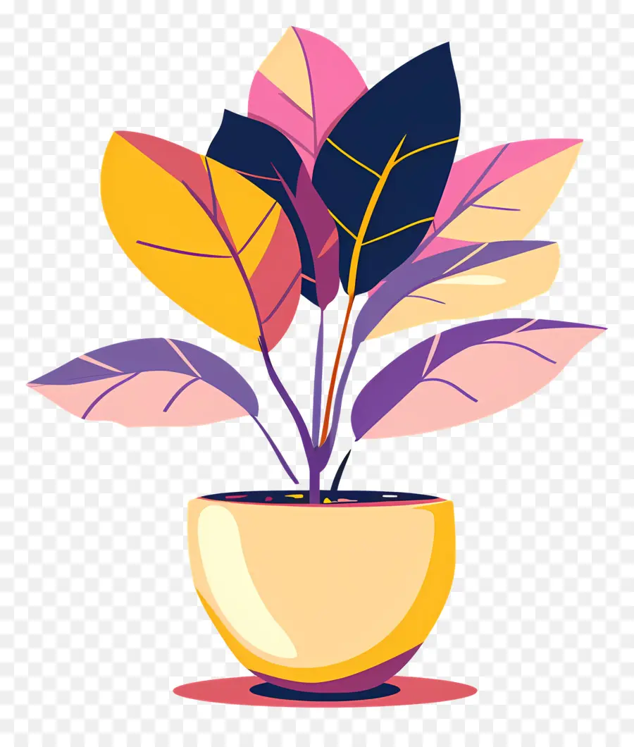 Plantar，Planta Colorida PNG