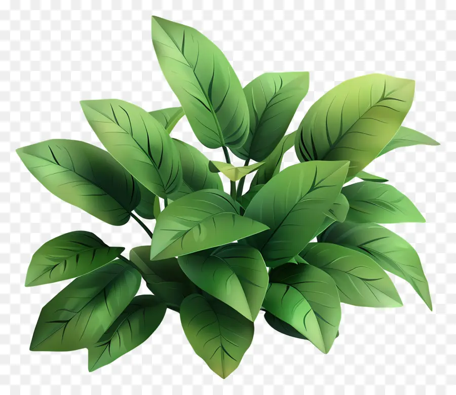 Vegetação Planta，Planta De Folhas Verdes PNG