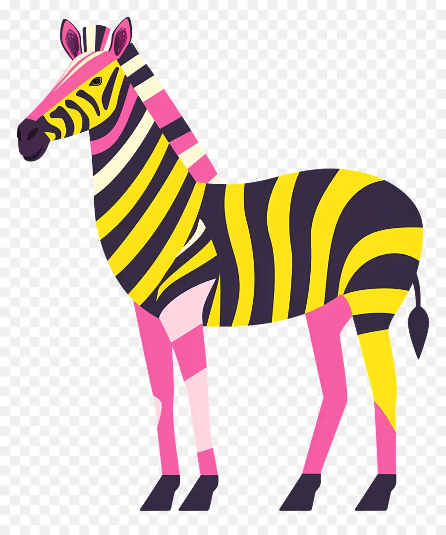 Zebra，Zebra Colorida PNG