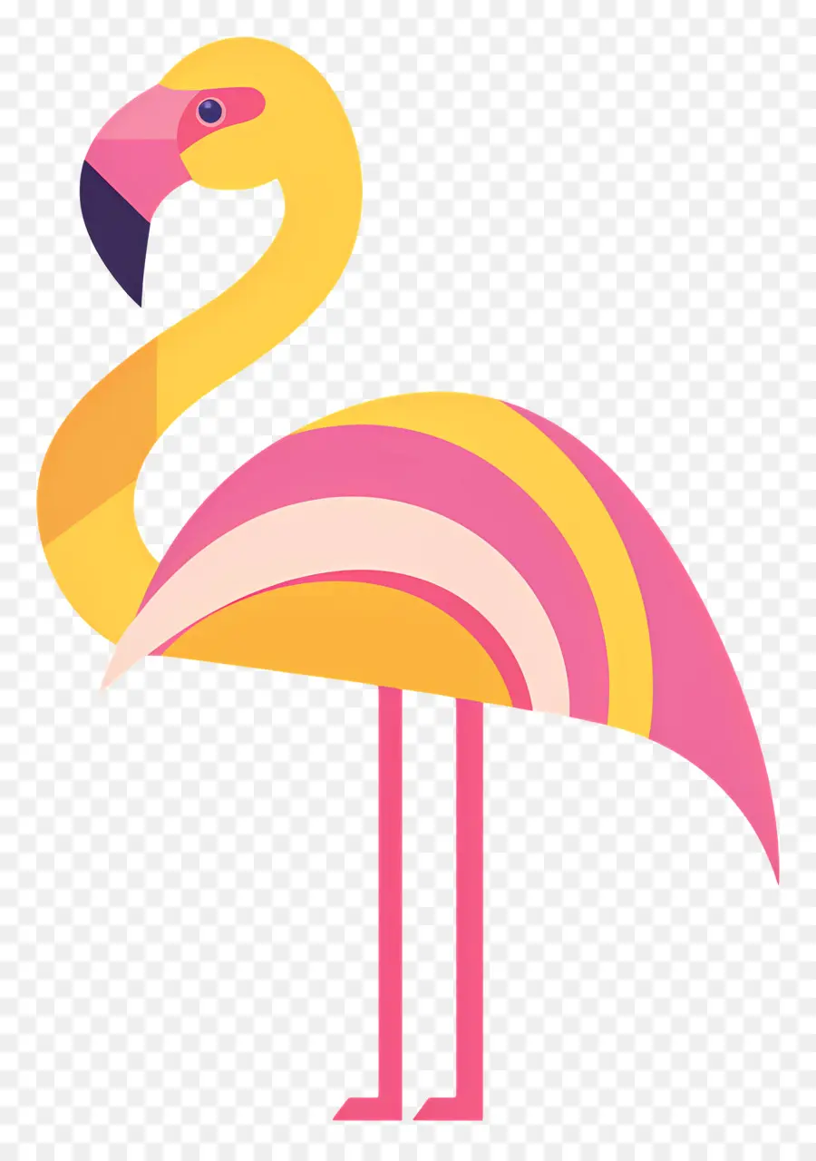 Flamingo，Pássaro PNG