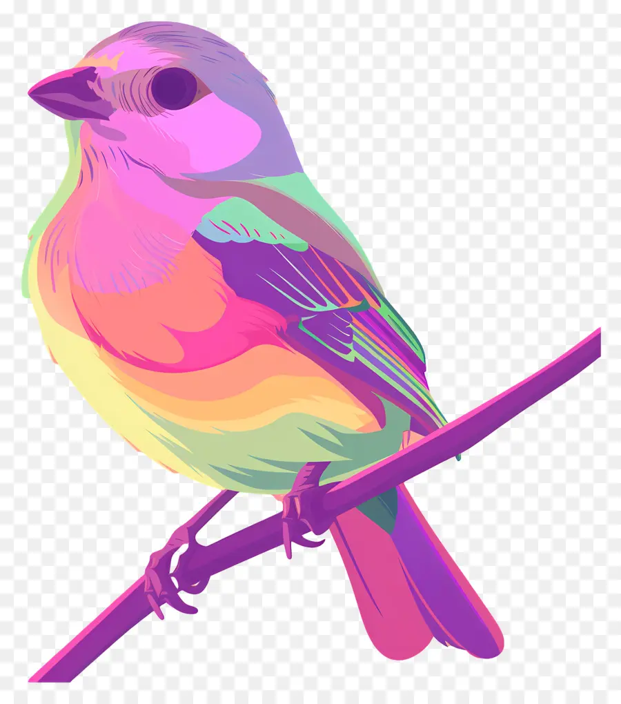 Aves，Colorido PNG
