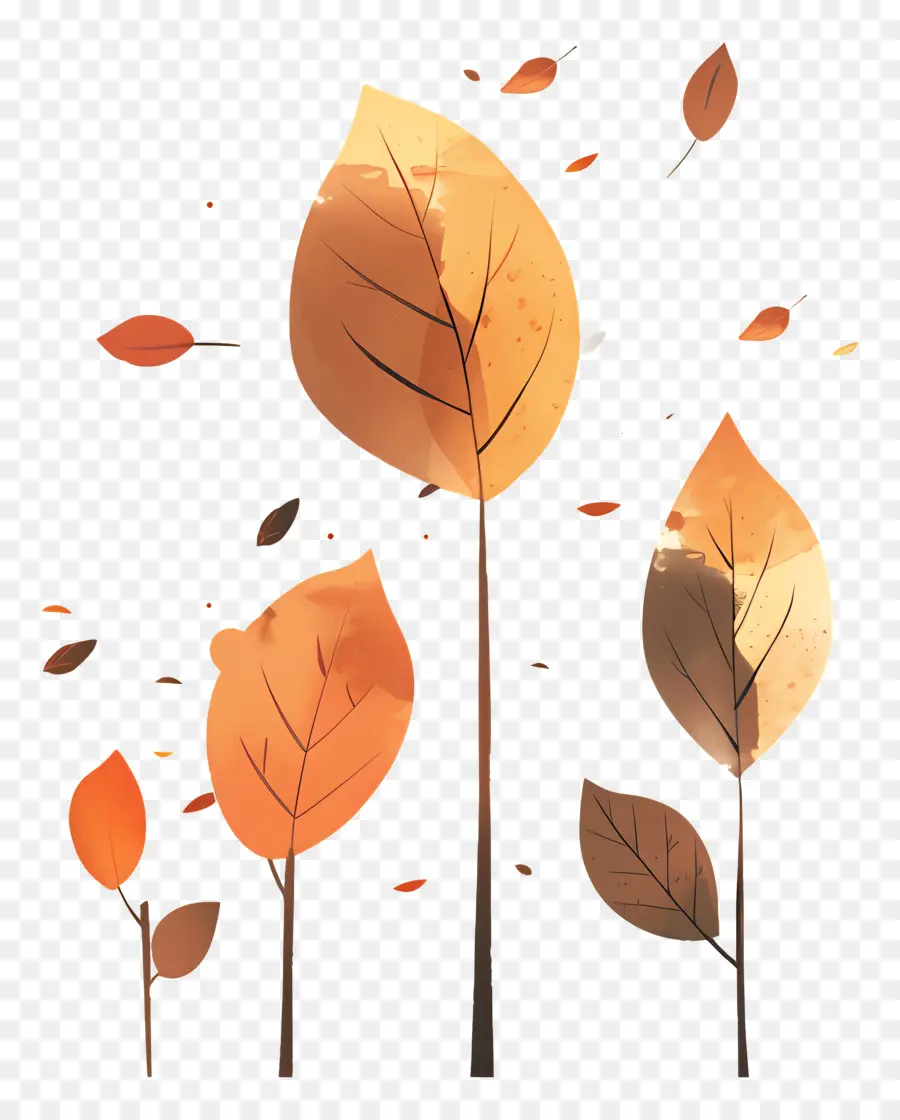 Outono Frio，Autumn Leaves PNG