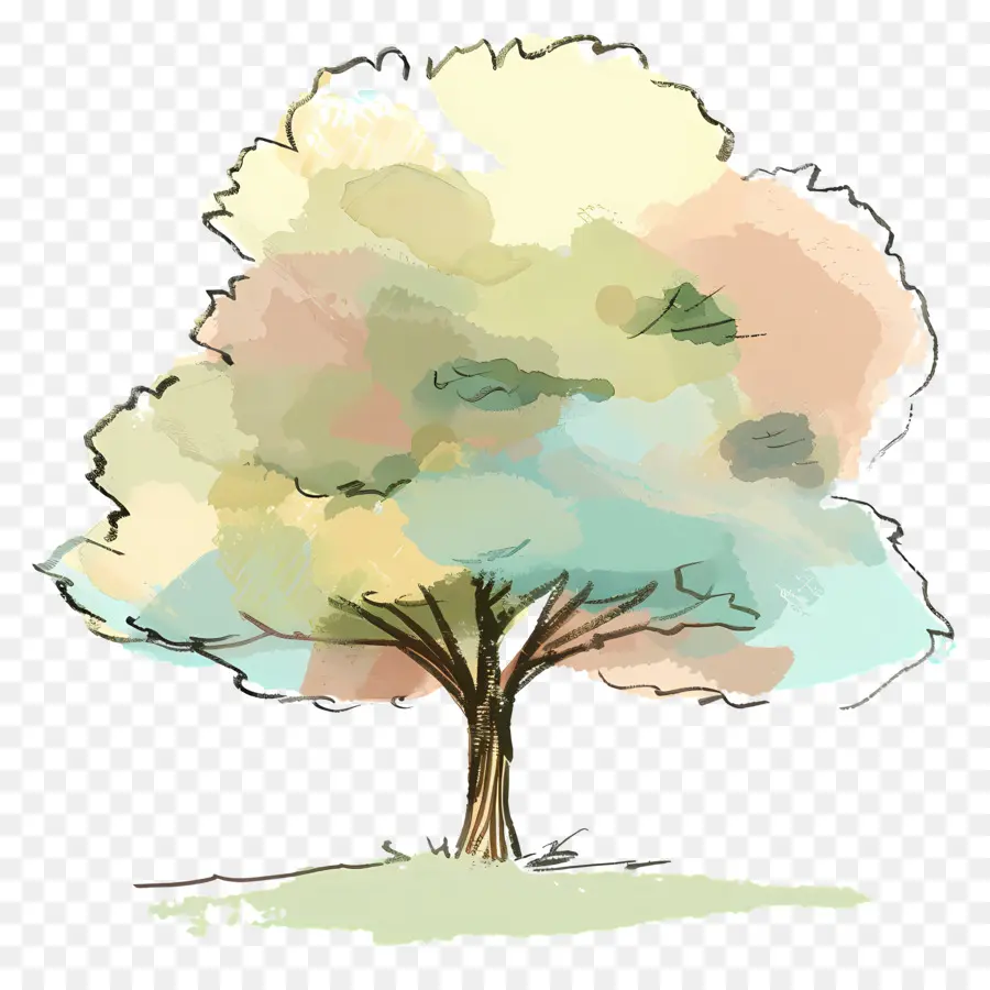 árvore，árvore De Pintura PNG