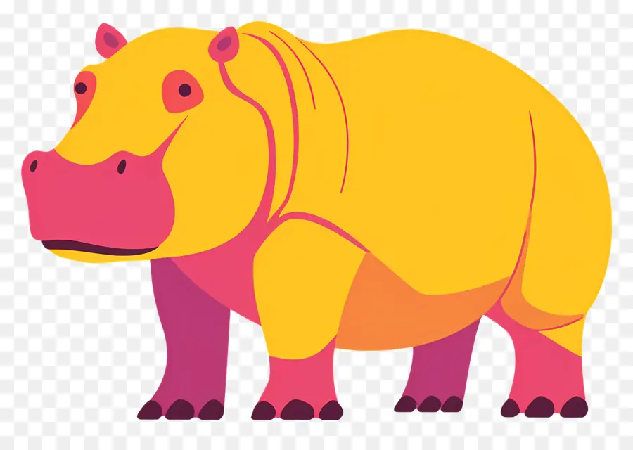 Hippo，Hipopótamo PNG