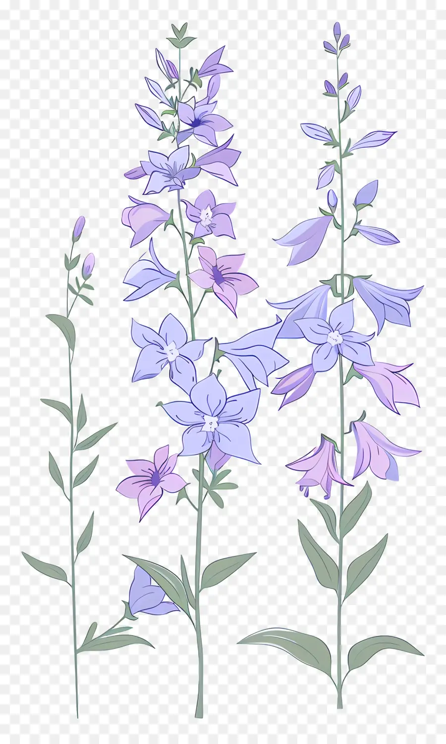 Larkspur，Flores Azuis PNG