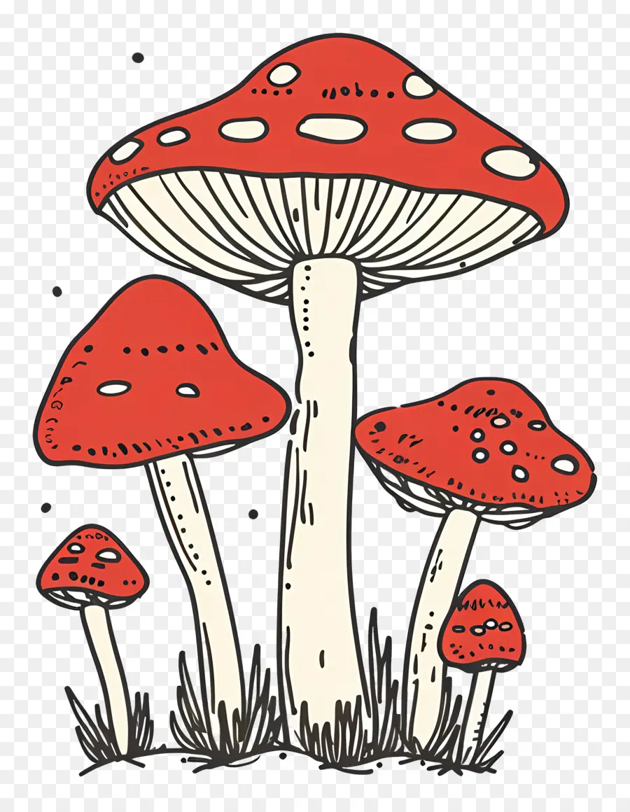 Cogumelos，Vermelho Cogumelos PNG