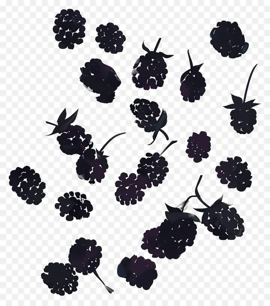 Amoras，Blackberry Bush PNG