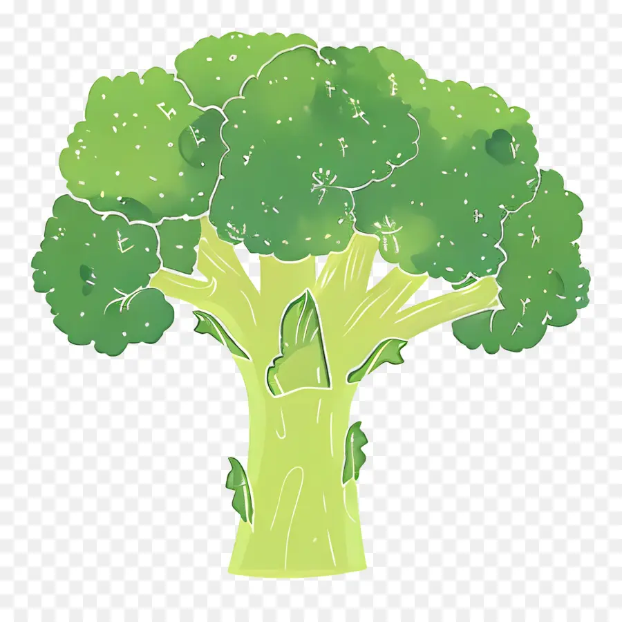 Brócolis，Folhas Verdes PNG