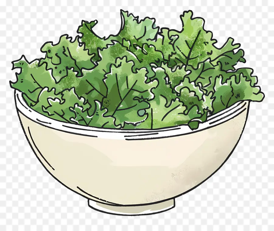 Salada De Couve，Couve PNG