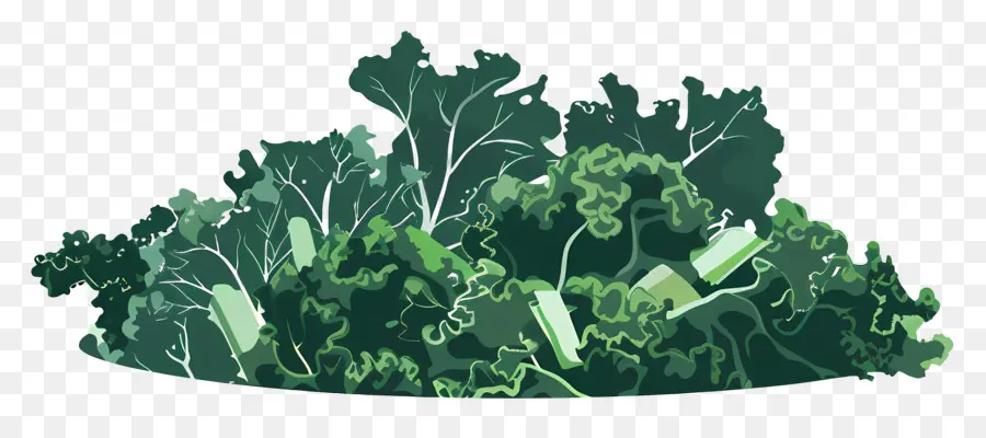 Salada De Couve，A Vegetação Verde PNG