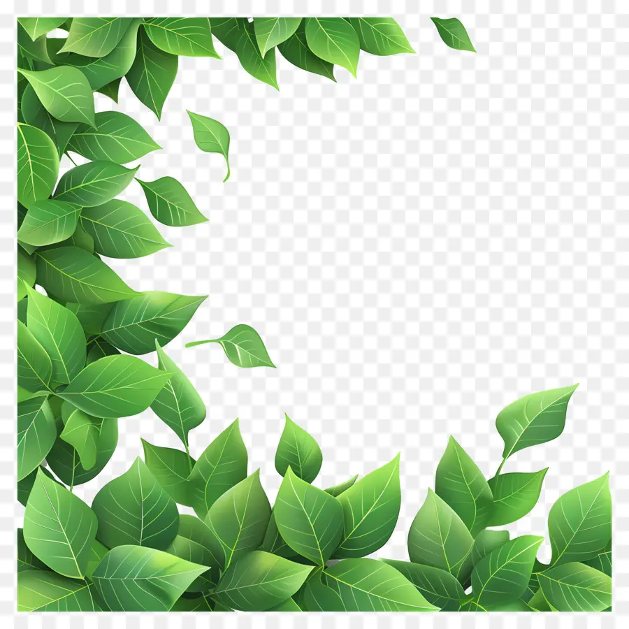 Vegetação De Borda，Folhas Verdes PNG