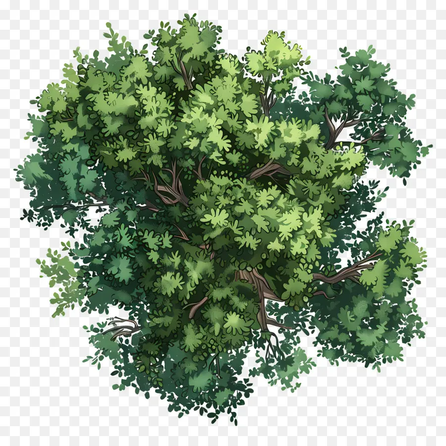 Visão Superior Da árvore Da Paisagem，árvore PNG