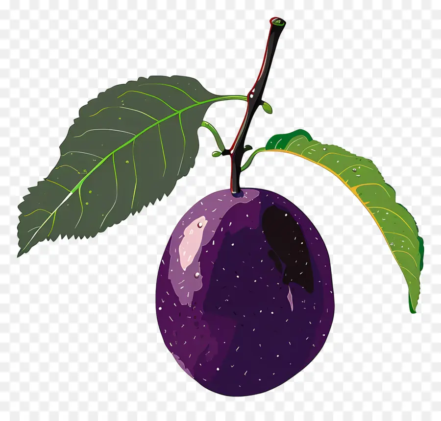 Frutas，Ameixa PNG