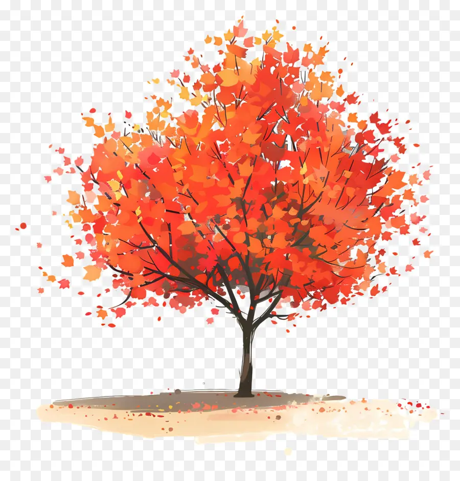 árvore De Bordo，Autumn Leaves PNG