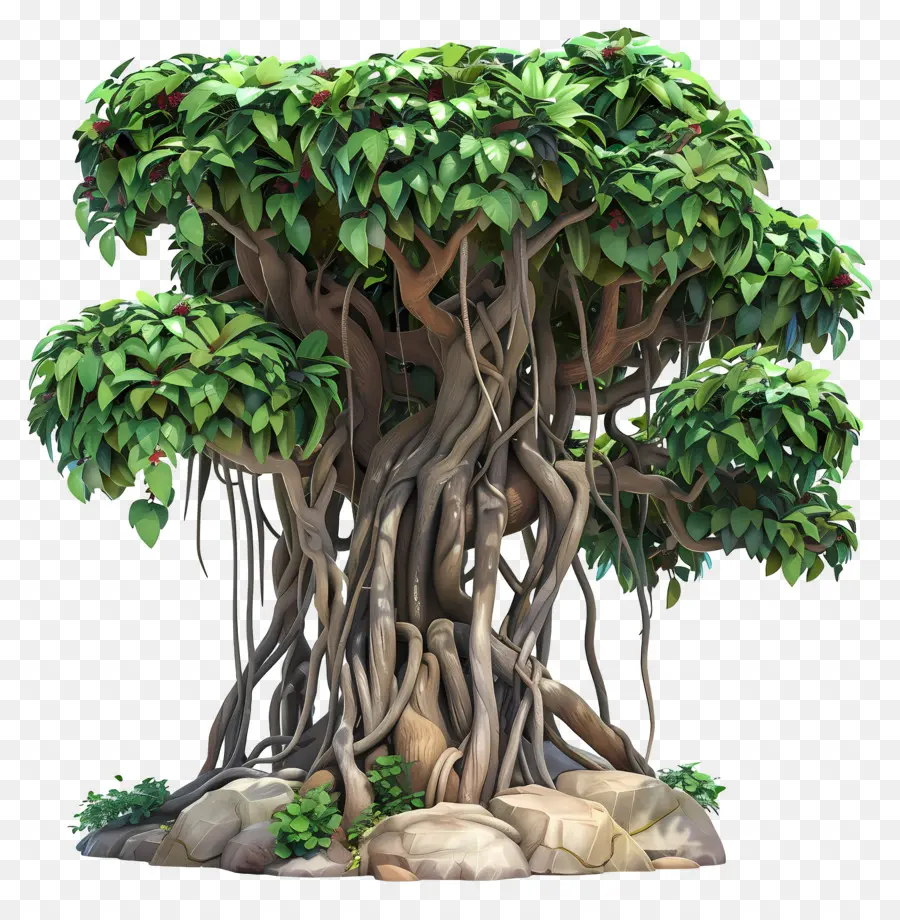 Banyan Jungle，árvore PNG