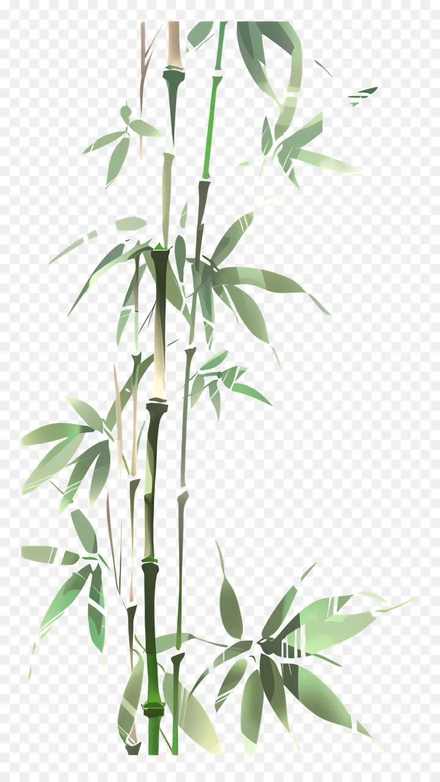 Bambu，Planta De Bambu PNG