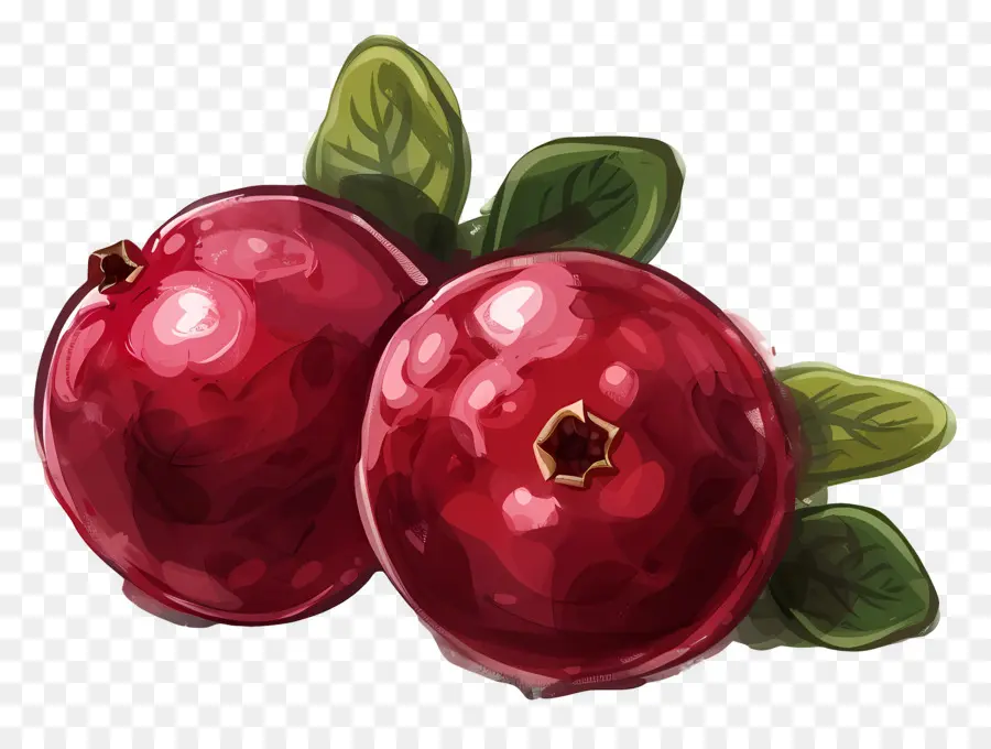 Cranberry，As Uvas Vermelhas PNG