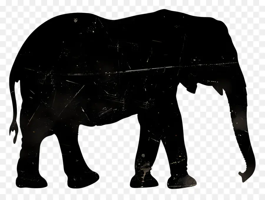 Elefante Silhueta，Elefante PNG
