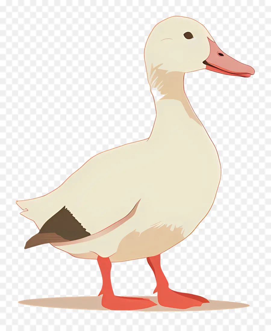 Pato，Bico PNG