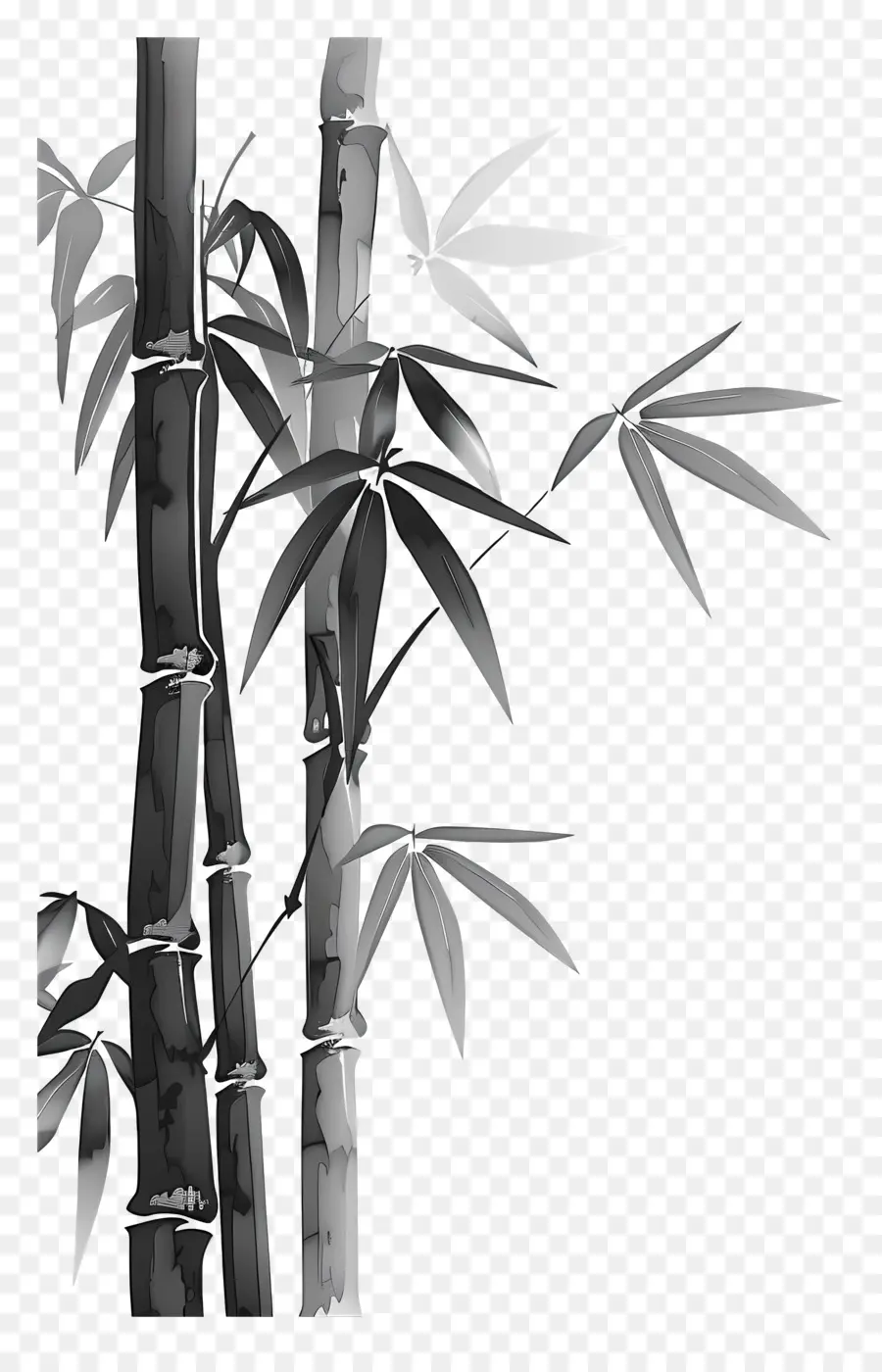 Bambu，árvore PNG
