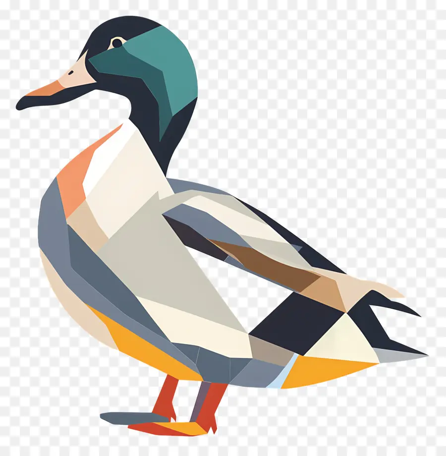 Pato，Pato Colorido PNG