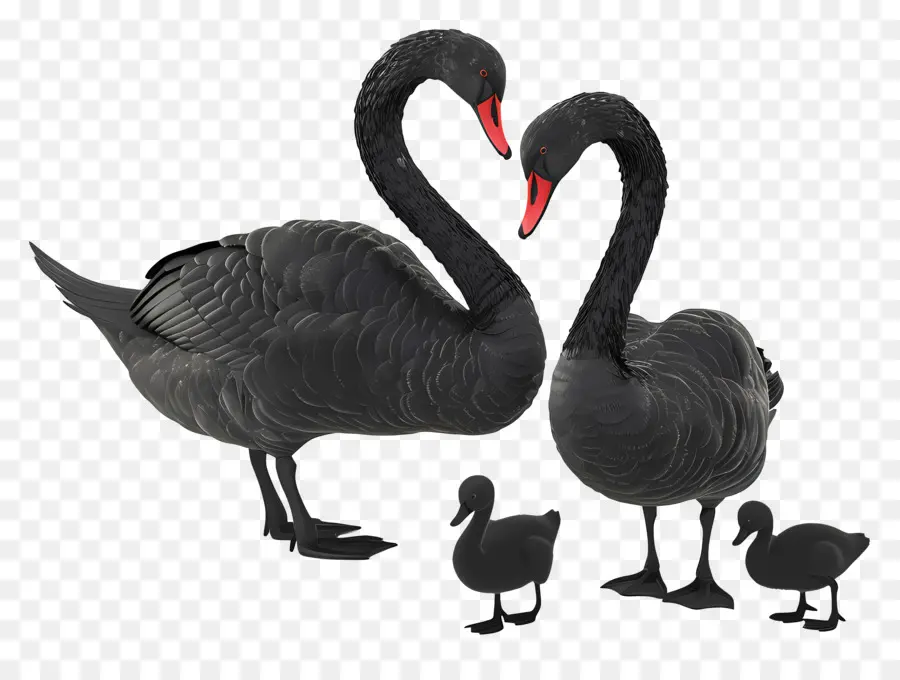 Swan，Bebê PNG